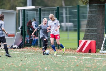 Bild 143 - wCJ Hamburger SV - Harburger TB : Ergebnis: 9:1